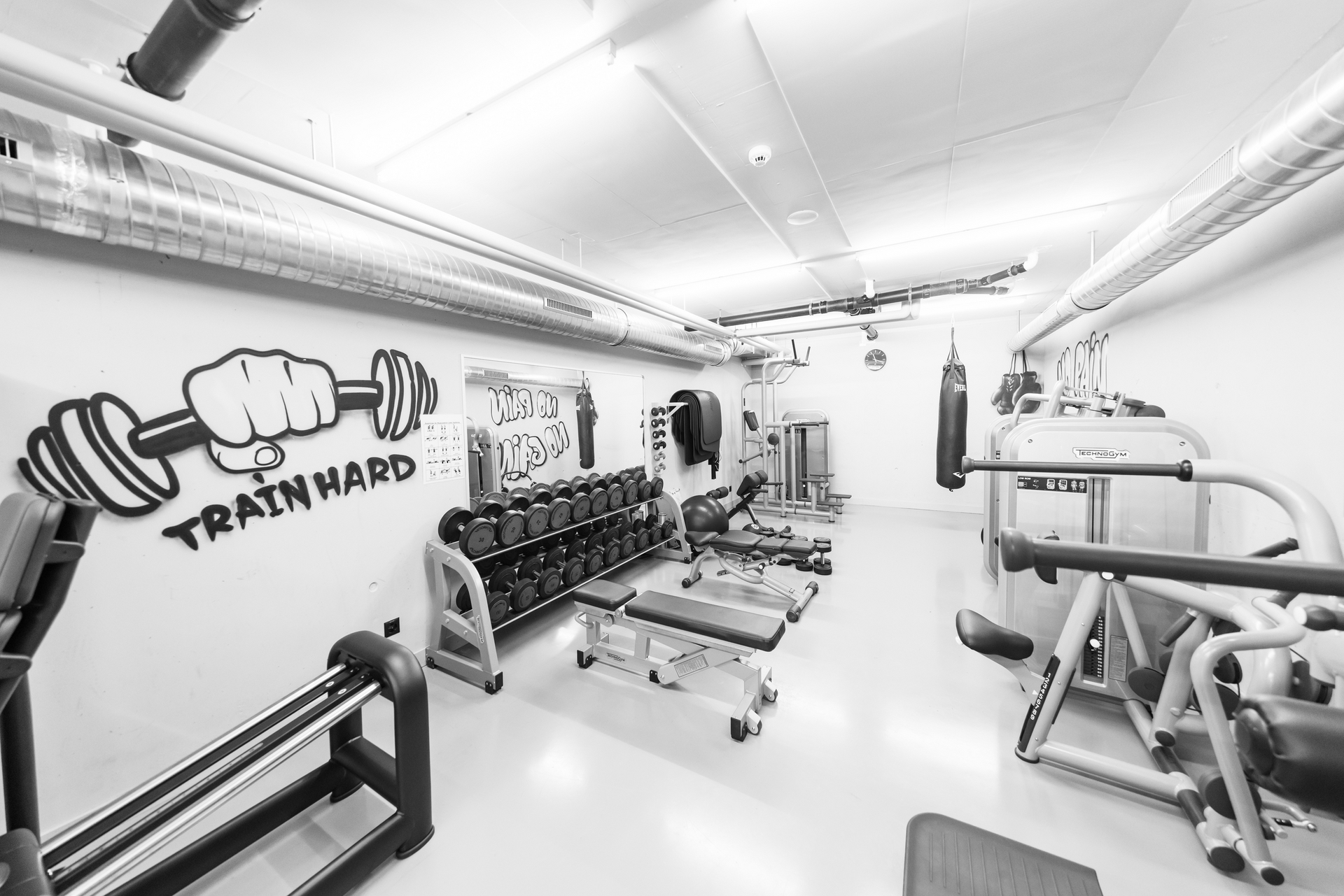 Image - Sport_1.jpg