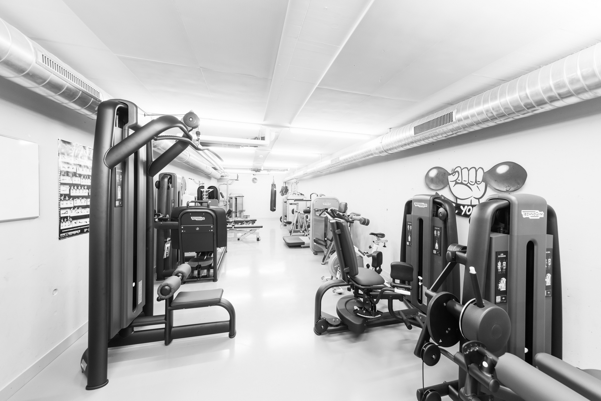 Image - Sport_2.jpg